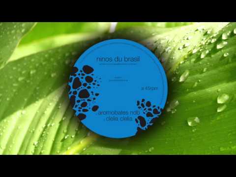 Ninos Du Brasil "Aromobates NDB" (Official Audio)