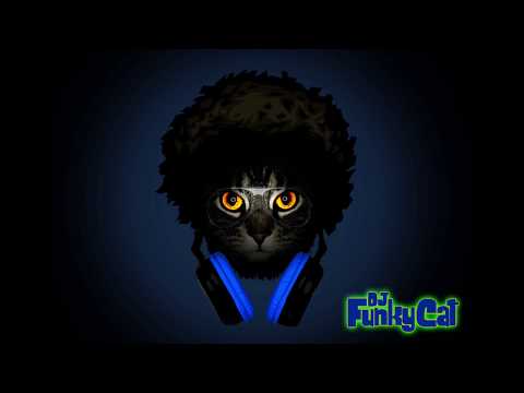 A.Skillz vs. Beatvandals ✧ Feelin Kinda Insane