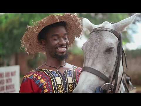 The Flowolf - Desperado (Official Music Video)