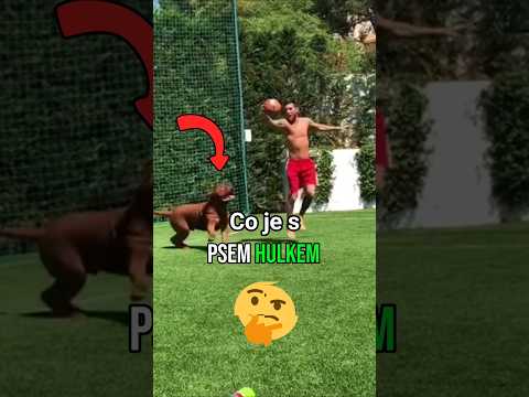Žije pořád Pes Lionela Messiho?!😉🫡