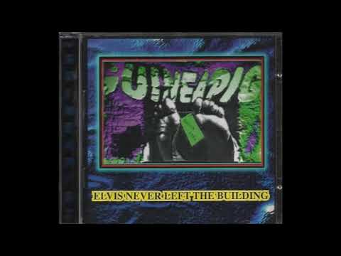The Guineapigs - Elvis Never Left The Building