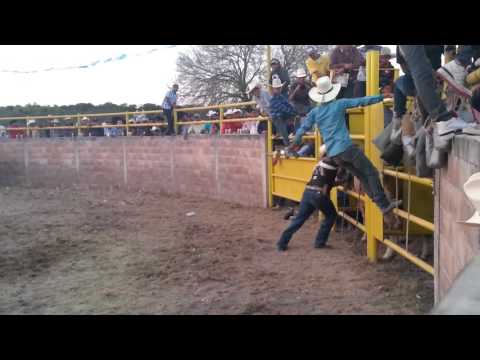 Damian Perez vs El Disfraz de R. 2102