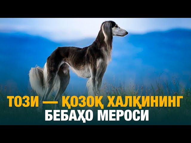 Този - қозоқ халқининг бебаҳо мероси