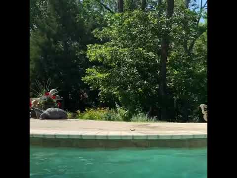 Randy Orton's son RKO Randy Orton