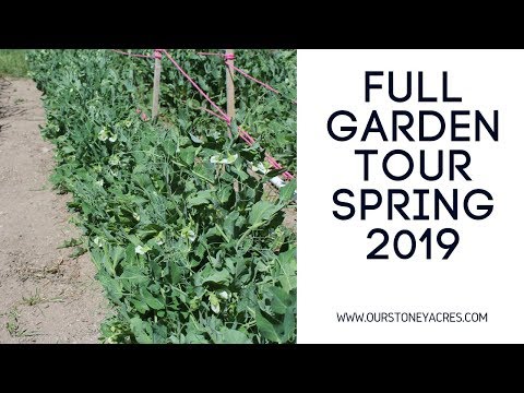 FULL Garden Tour and Harvest | May 2019