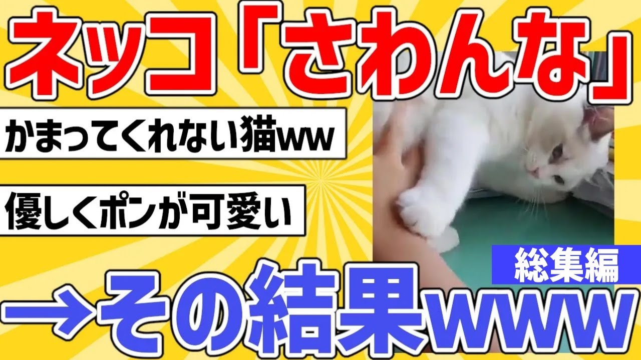 【2ch動物スレ総集編】ネッコ「さわんな」→それでも撫でた結果ｗｗｗ／コオロギなんか食えるか！他
