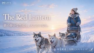 【The Red Lantern】朝の静かな雪道を、犬たちと走る。【初見LIVE】
