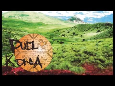 Puel Kona - Wajmapu Libre (audio oficial)