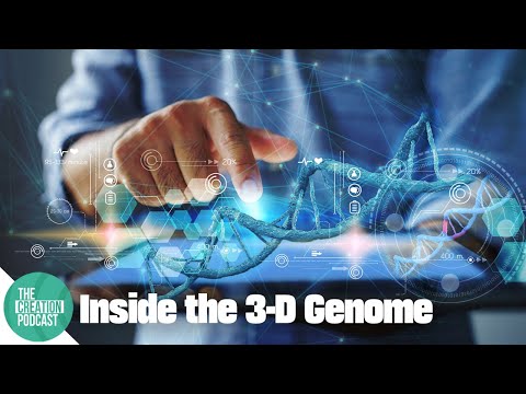 The Complex Shape of DNA You’ve Never Been Taught