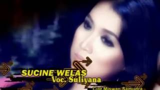 Download lagu sucine welas isun mp3