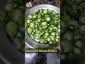 Karela Ka Bhujia Karele Ka Bhujiya Karela Recipe Shorts