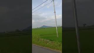 Download lagu Jalan Sore, suasana pedesaan Pemandangan Indah #shorts #sawah #tiktok #like #share #adem #desa #alam mp3