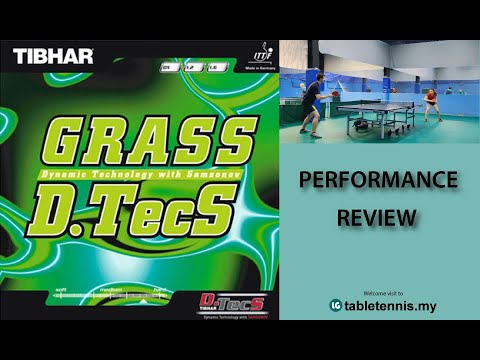 Tibhar Grass D.Tec Performance Review🏓