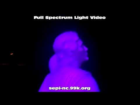 Forest Lawn - Kissing Statue Video 2