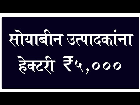 सोयाबीनला हेक्टरी ₹5000 अनुदान!
