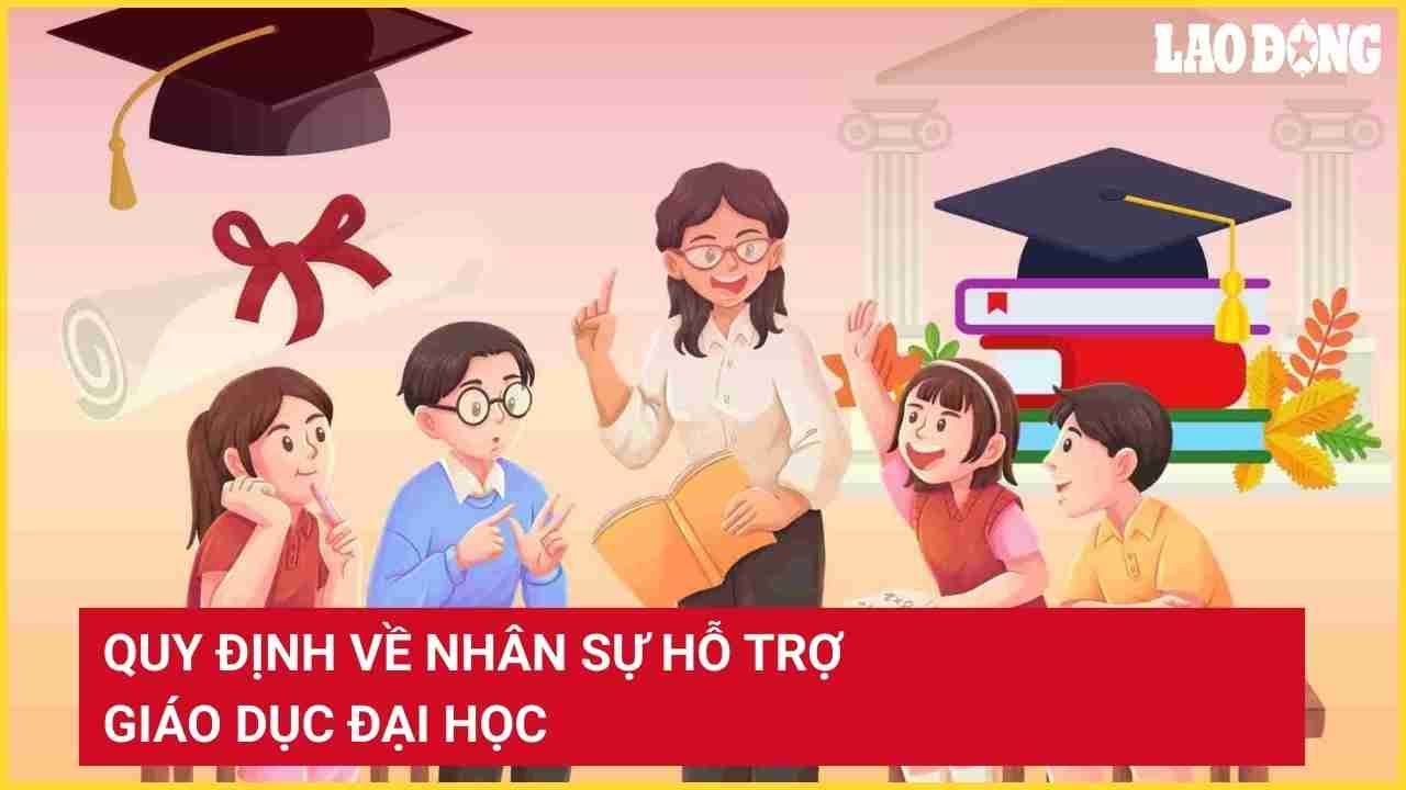 Quy định về nhân sự hỗ trợ giáo dục đại học