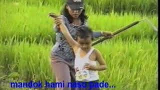 Download lagu Naso Marsikola Odang Group Lagu Tapsel  Video mp3