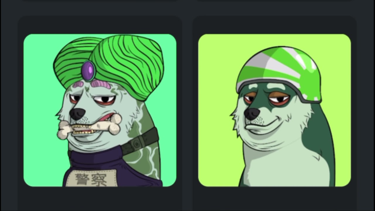 Doge Pound NFT Collection OpenSea Digital Video Art Gallery Fall 2021