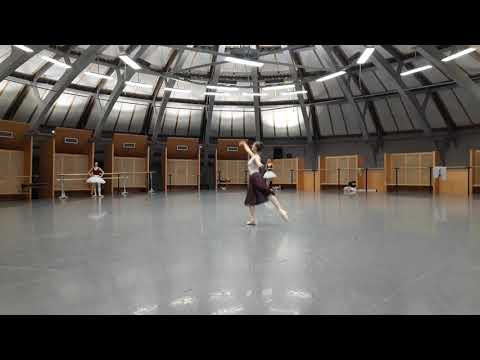 Automne herome robbins