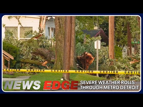 FOX 2 News: The Edge | July 11, 2023