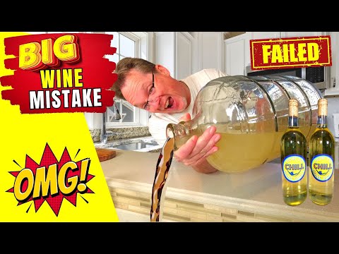 Wine Making Mistake - Don't Rush Winemaking - Learn from the Professionals