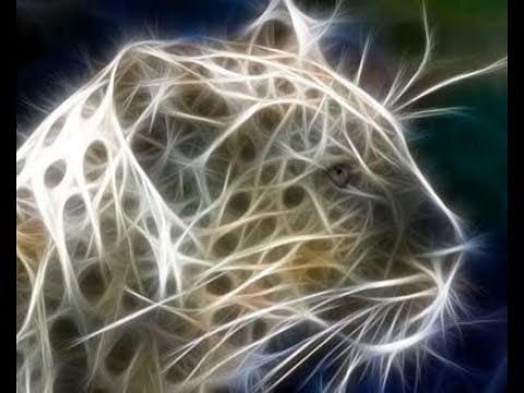 Let the light shine in vs Jaguar - Darren Tate vs Dj Rolando - Mashup