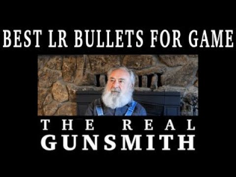Best LR Bullets for Game