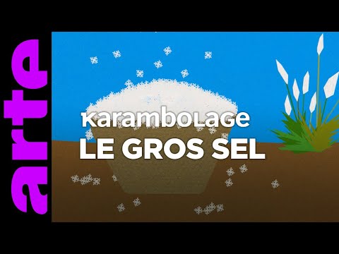 , title : 'Le gros sel - Karambolage - ARTE'