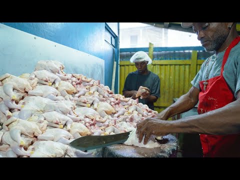 EPIC 1000 lbs of Jerk Chicken! Jamaican Street Food Tour