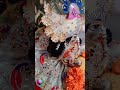Laddu Gopal Status Video Krishna Bhagwan Bhajan Radha Krishna Shorts Whatsappstatus