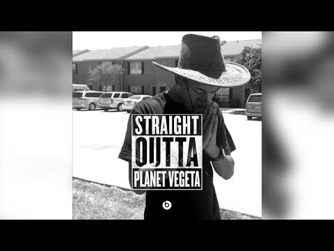 Desiigner - Panda (PARODY)