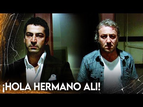 Le Conficeso a Ali Que Soy Omar! | Ezel Bayraktar - Audio Español