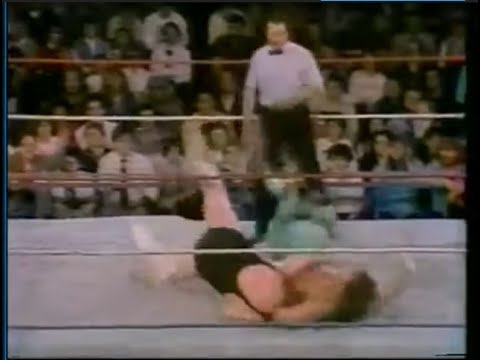 Jake Roberts vs Ron Hutchinson - April 26, 1986