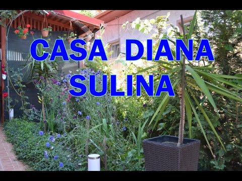 Casa Diana Sulina