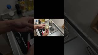 シャコえびと白ハマグリと僕 #shorts  #料理 #cooking #メスティン #料理動画 #料理男子 #bbq #飯テロ