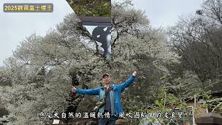 2025-03-09觀霧富士櫻王