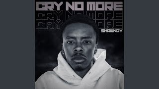 Cry No More (feat. Tylan1k)