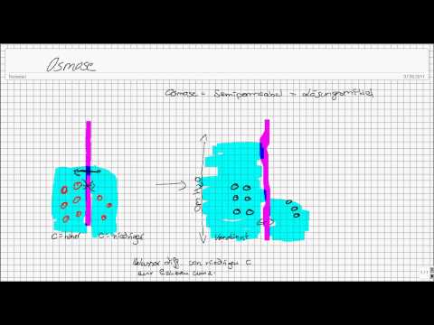 Transportmechanismen an Membranen Teil 1 - Passive Vorgänge