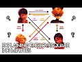 Explaining The Miraculous Ladybug Love Square In 3 Minutes