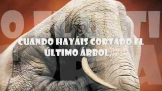 FITO Y LOS FITIPALDIS  "Me acorde de ti"