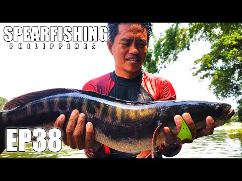 EP38 - NAKAWALA! #spearfishing #spearfishingphilippines #spearfishingcatchandcook #buhayilog