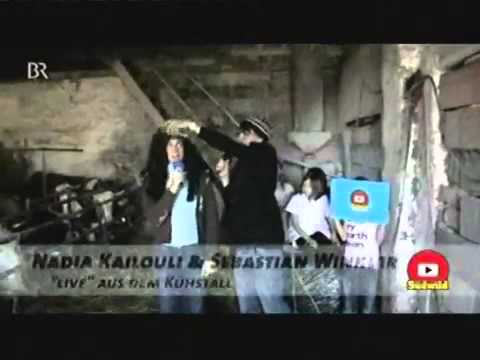 Y-TITTY - Zweiter Auftritt bei Südwild im TV (03.04.09)