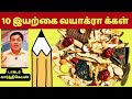 10 இயற்கையான வயாக்ராக்கள் 10 Best Treatment For Erectile D