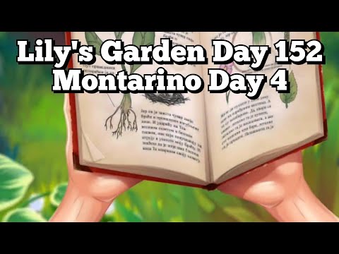 Lily's Garden Day 152 - Montarino Day 4