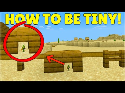 HOW TO BE TINY IN MINECRAFT! 5 Pixels Tall!