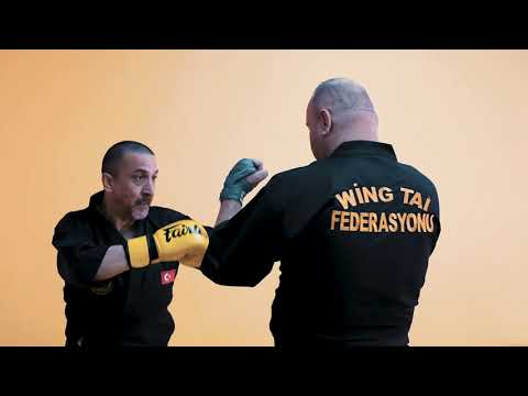 WING TAI TEKNİKLERİ