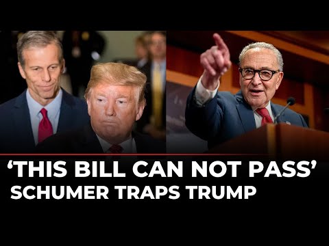 ‘THIS FRIDAY…’: Schumer Leads Senate Revolt Against Trump, Reveals Dem Action on ICE Funding Vote