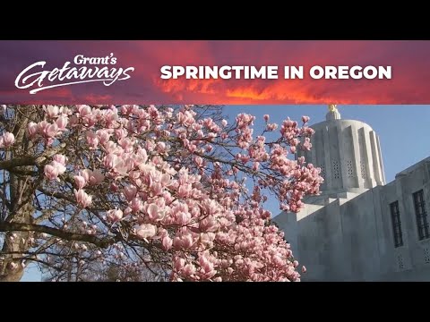 Oregon State Spring Break