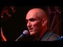 Paul Kelly - You're Learning (Live)