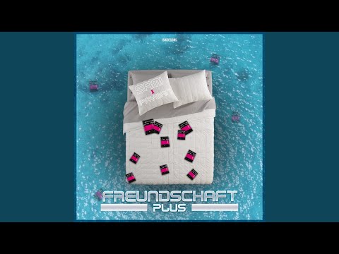 Freundschaft Plus